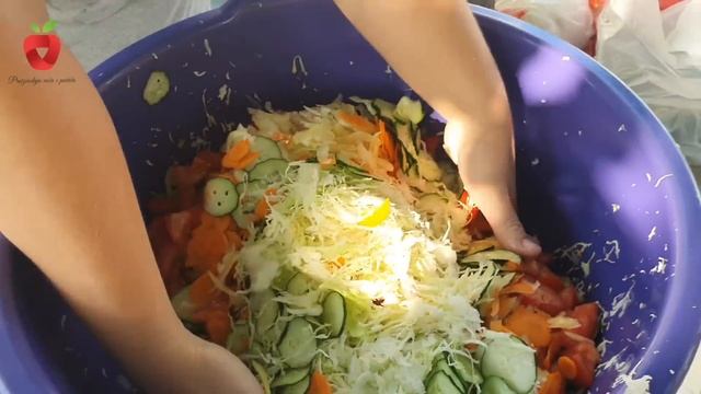 Samo 3 sastojka za najukusniju zimnicu bez konzervansa - recept moje bake смотреть онлайн