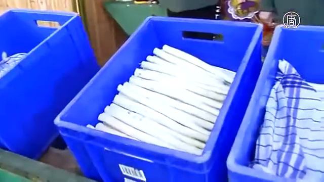 Хотите быть стройными Ешьте спаржу новости смотреть онлайн