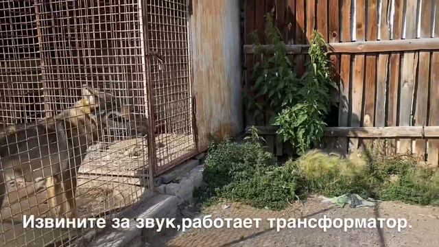 Природа Башкортостана | Лето 2021 смотреть онлайн