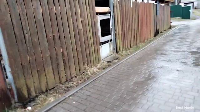 Квасы#Врач сделал назначения, и погнали выполнять задание. смотреть онлайн