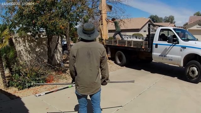 How to plant a 15 foot Saguaro cactus - re-upload due to copyright issues смотреть онлайн
