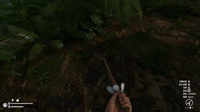 Green hell Amazonia(二章)叢林地獄=49 смотреть онлайн