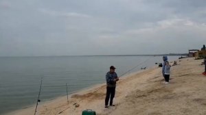 Ловля рыбы в Ейском лимане Азовского моря. Отлично ловится пиленгас