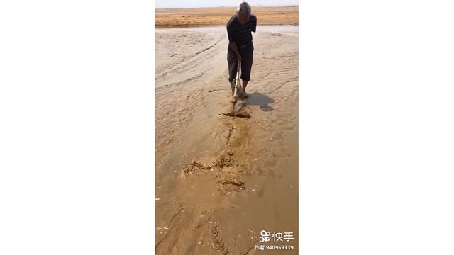 Catching Seafood 🦑🦀 Deep Sea Octopus Catch Fish,Catch Shark Tik Tok #85 смотреть онлайн