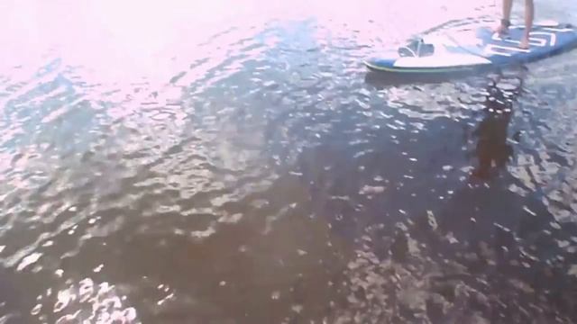 Сплав по Москва реке на сапах смотреть онлайн