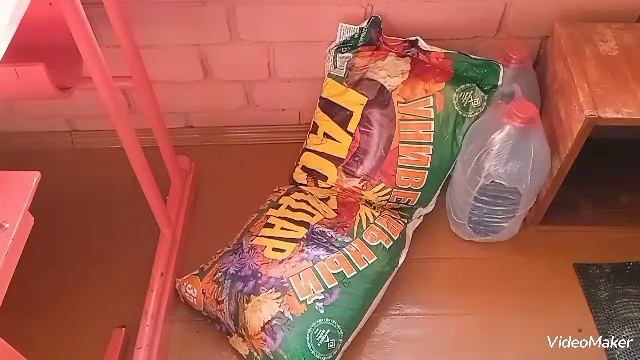 Подготовка к раннему урожаю томатов смотреть онлайн