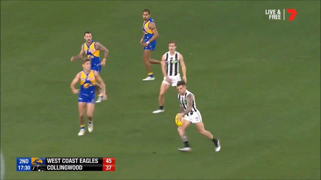 Jamie Elliott 2019 Highlight Reel смотреть онлайн