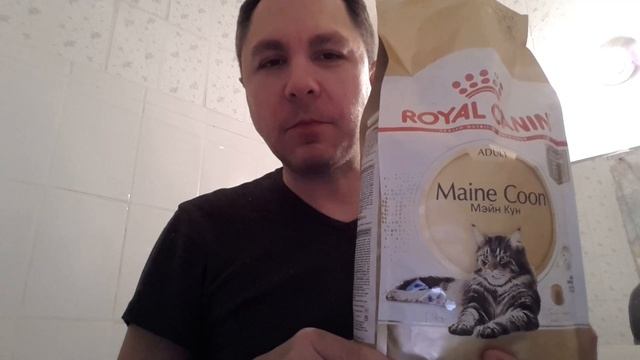 Я КУШАЮ КОШАЧИЙ КОРМ