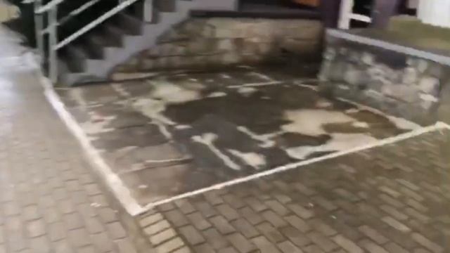 Оструда Польша смотреть онлайн