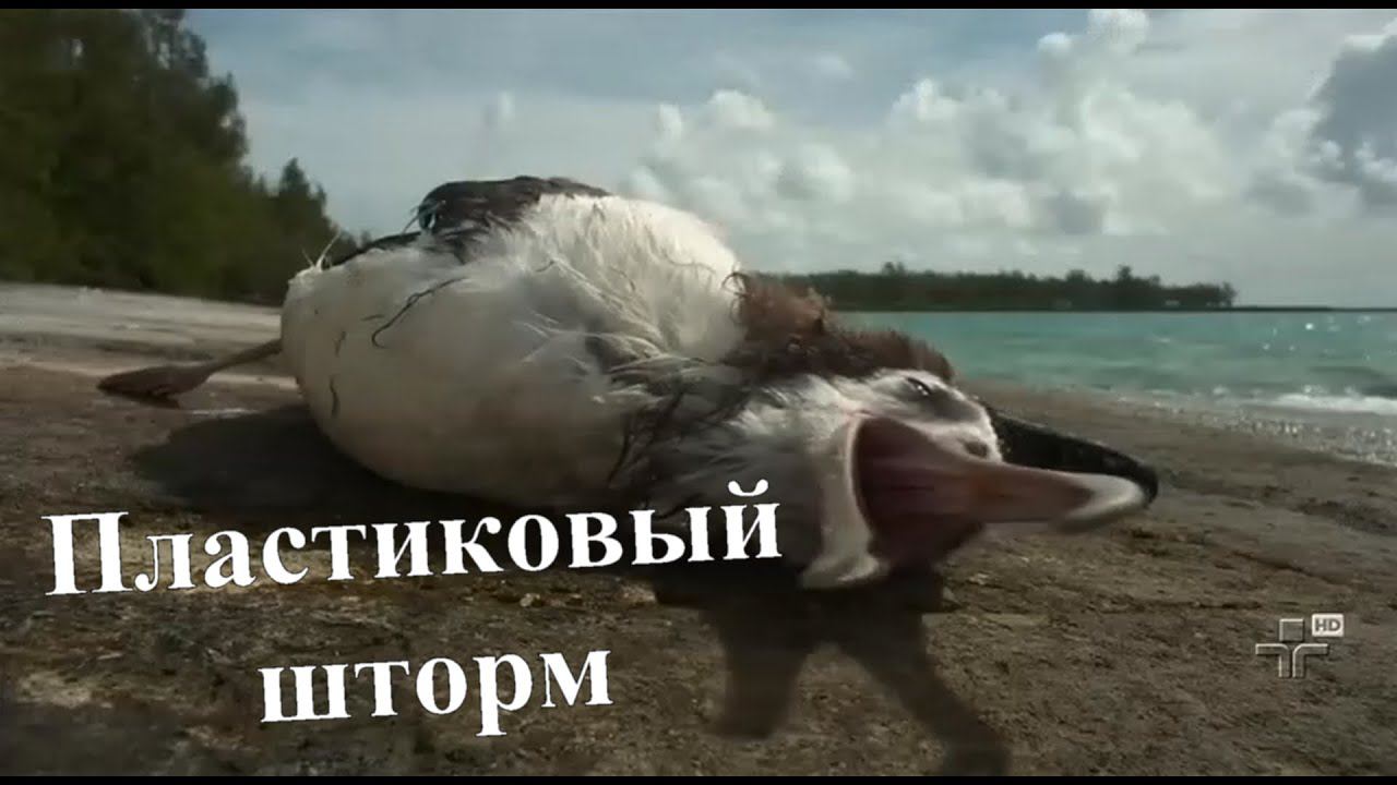 Пластиковый шторм смотреть онлайн