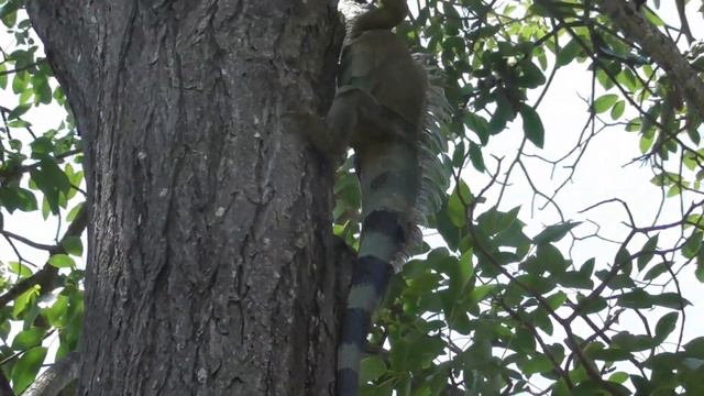 Colombia - Cartagenha