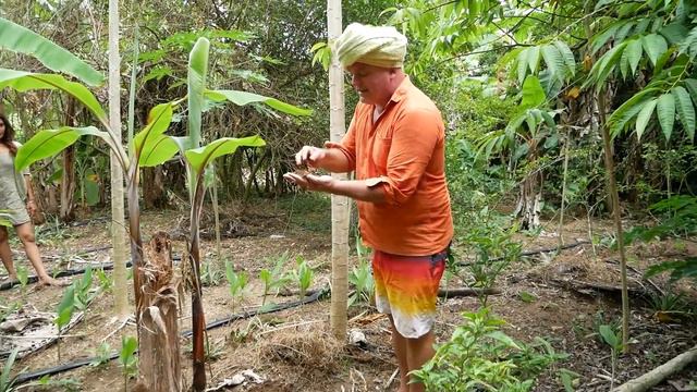 I visited Solitude farm Auroville |Krishna Meckenzie farm tour | How to start natural farming| Ep.2 смотреть онлайн