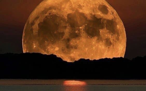 Я дальше гордо марширую