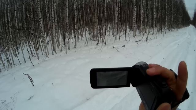 Охота. Экшн без монтажа #23. Охота с русской гончей. Hunting In Russia