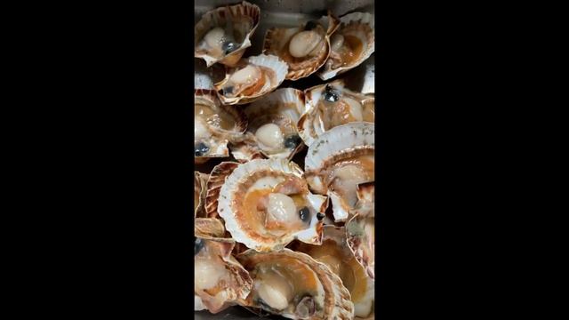 ГРЕБЕШКИ#франция #жизньвофранции #французскаякухня #гребешок смотреть онлайн