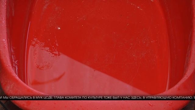 Библиотека в Красноармейском районе Волгограда зарастает плесенью и грибком смотреть онлайн