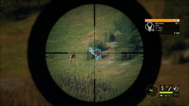 EASY Money and Fastest Experience Points in 2021 | Top 3 ways! | thehunter Call of the Wild! смотреть онлайн
