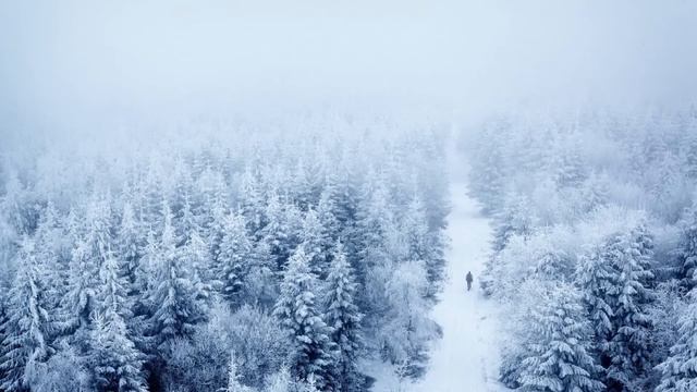 Случайно подслушав разговор мужа со свекровью, Ася чуть не закричала. Она услышала то, что не должн смотреть онлайн