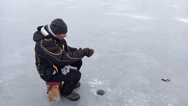 ВОТ ЭТО РЫБАЛКА!Зимняя рыбалка на плотву. Плотва на безмотылку смотреть онлайн