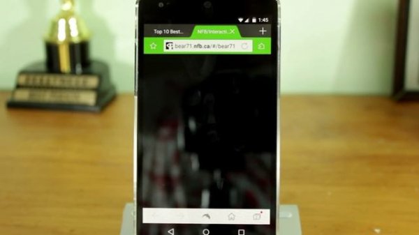 Adobe Flash Player on Android Lollipop