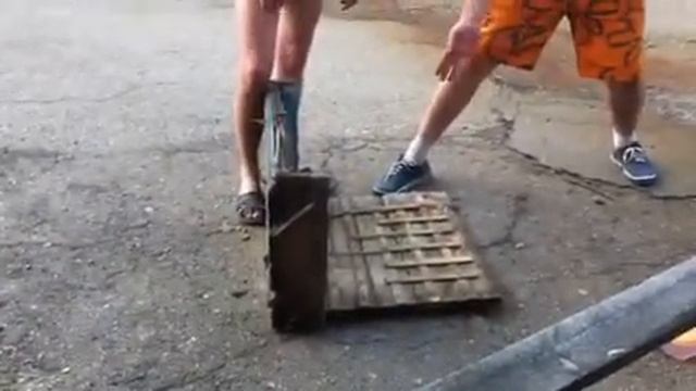 Мы делаем утятник!