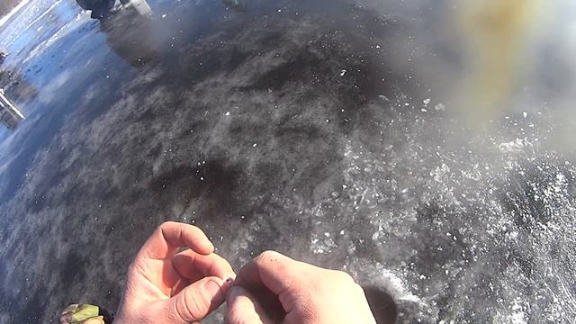 первый лед 25102014-радужная форель ха ха смотреть онлайн