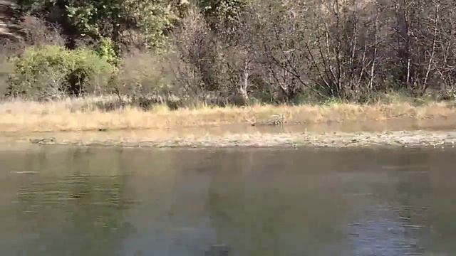 США,,НАШЕ весёлое ПУТЕШЕСТВИЕ на КАЯКЕ, промокли,Spokane river.. смотреть онлайн