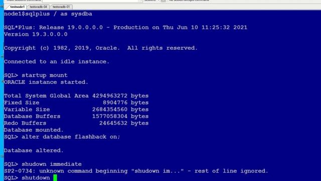 RAC 19c Flash Back Restore смотреть онлайн