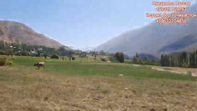 ТОЧИКИСТОН НОХИЯИ АЙНӢ ДЕХАИ САНГИСТОН. МО ДАР ХИЗМАТИ МАРДУМИ САНГИСТОН смотреть онлайн