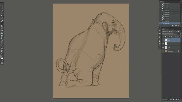 Elephant sketch time lapse смотреть онлайн