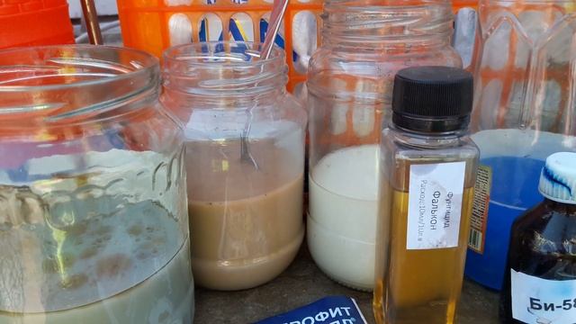 #Баковаясмесь#обработкароз#ложнаямучнистаяроса пятнистости, вредители#Фалькон нюансы применения! смотреть онлайн