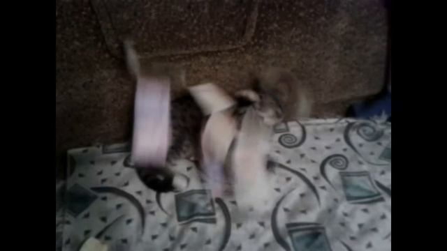 Почему это работает?