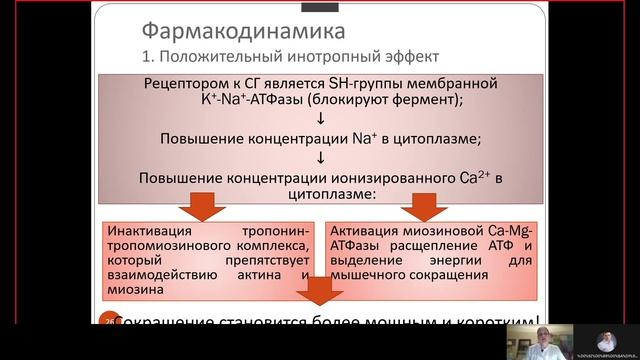 Фарма ВСЕ 11.1. Кардиотонические средства.mp4 смотреть онлайн