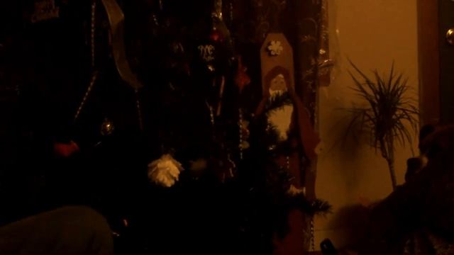 Flash VS Doggy смотреть онлайн