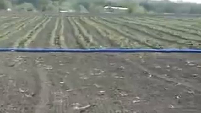 АГРО-ВОЛЯ: Сеялка вакуумная для минитрактора смотреть онлайн