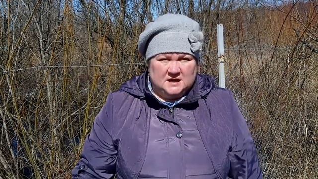 Почковый смородиновый клещ. смотреть онлайн