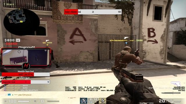 What is Faceit lvl 10? Zoo adventures and weirdness смотреть онлайн