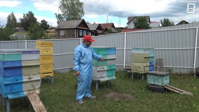 ВАРИАНТЫ ДЛЯ СЕМЬИ-МЕДОВИКА. ВЫВОД МАТОК, ОТВОДКИ ПЧЕЛ БЕЗ РОЕНИЯ 5 ДЛЯ НАЧИНАЮЩИХ ПЧЕЛОВОДОВ 17-21 смотреть онлайн