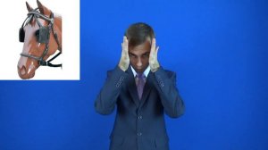 ШОРЫ значение слова! РЖЯ