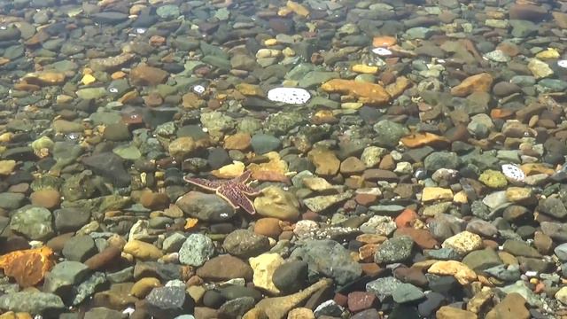 Владивосток. Прогулки по городу #3. Набережная Спортивной гавани... Vladivostok. смотреть онлайн