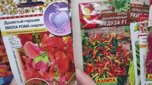 Какие они красивые