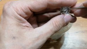 Где ЗОЛОТО КУ202Г