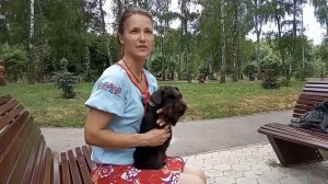 Цвергшнауцер. О породе кратко.