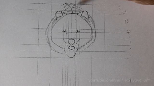 Как нарисовать медведя в анфас в полный рост карандашом. Поэтапное рисование. Часть 1. Построение смотреть онлайн