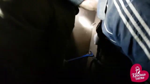 Утепление вольеров в приюте "Красная сосна" смотреть онлайн