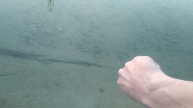 Зимовка рыбы в прудунезамерзающая прорубь смотреть онлайн