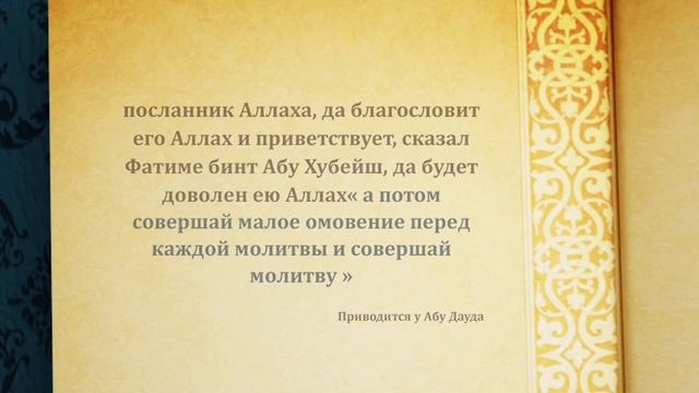 Менструальные, послеродовые и неменструальные кровотечения смотреть онлайн