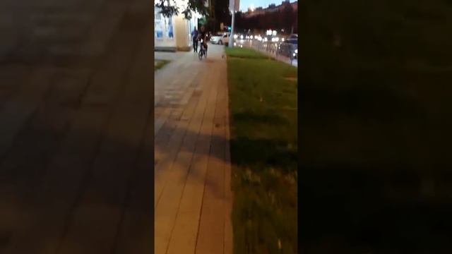 Кто там? Дичка? смотреть онлайн