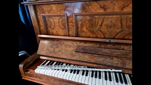 Zombie (The Cranberries) on Flute and Piano смотреть онлайн