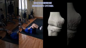 ВОССТАНОВЛЕНИЕ КОЛЕННОГО СУСТАВА